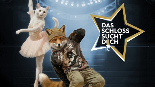 Das Schloss sucht Dich - Tanztalente auf die Bühne!