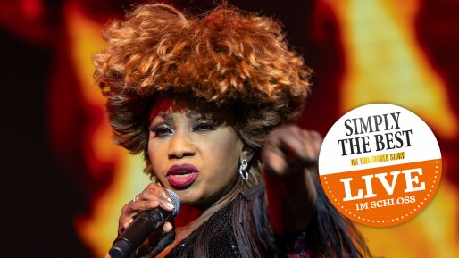 Stars in Concert Live im Schloss